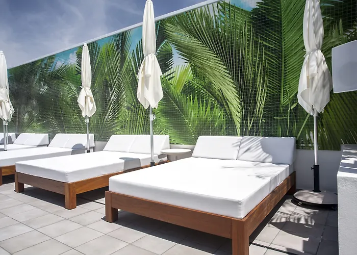 Hotel Vanilla Garden Boutique - Adults Only