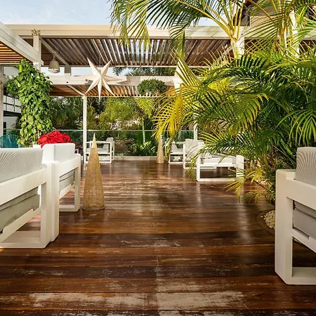 Vanilla Garden Boutique - Adults Only 4* Playa de las Americas (Tenerife)
