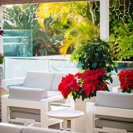 Hotel Vanilla Garden Boutique - Adults Only